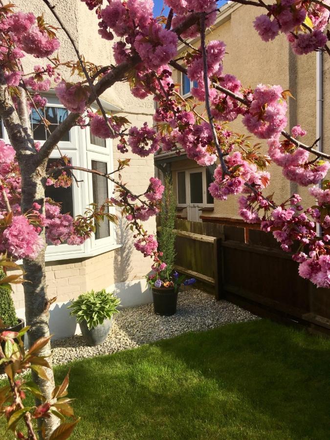 Cherry Tree House Bed and Breakfast Bournemouth Exteriör bild